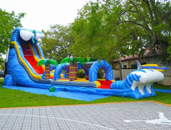wild waves combo delivered in palmetto bay