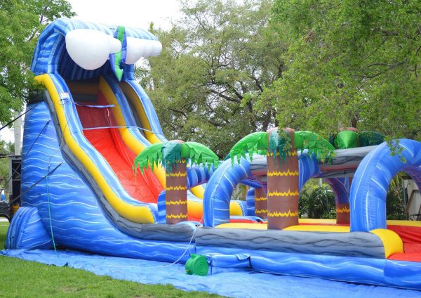 wild waves combo delivered in palmetto bay